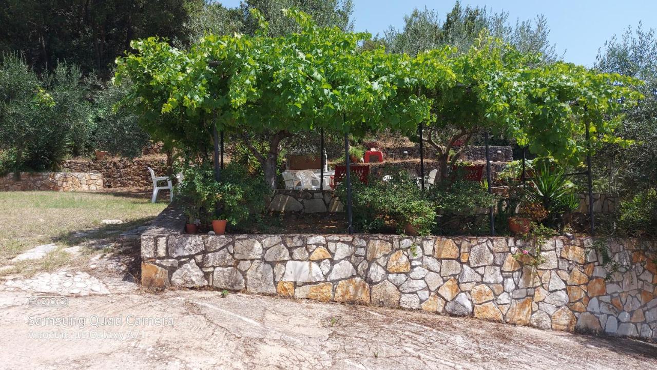 Villa Sissy Studios & Apartments Sívota المظهر الخارجي الصورة