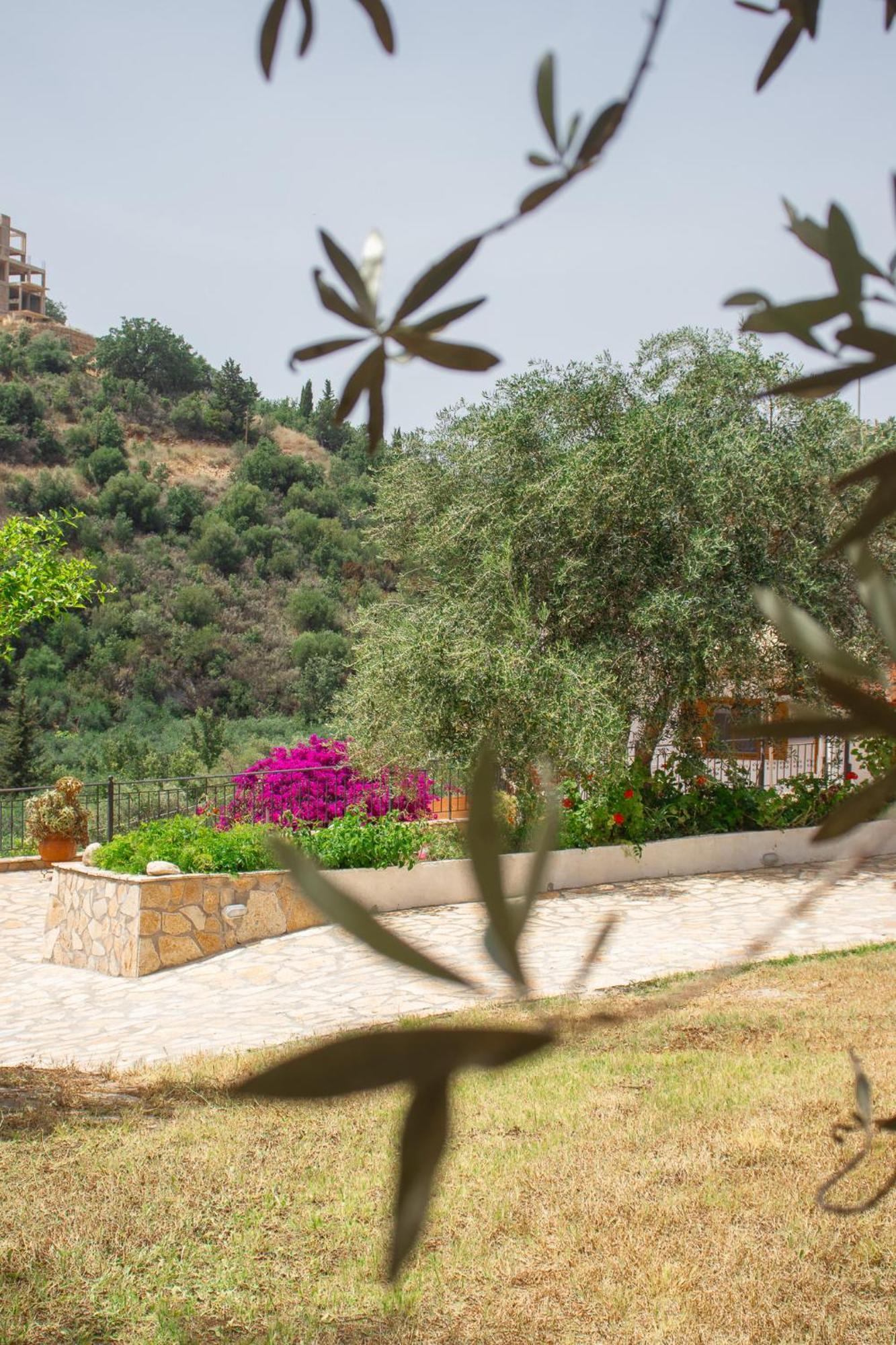 Villa Sissy Studios & Apartments Sívota المظهر الخارجي الصورة