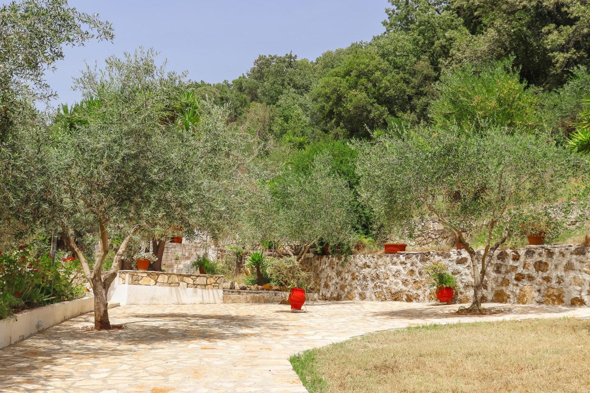 Villa Sissy Studios & Apartments Sívota المظهر الخارجي الصورة