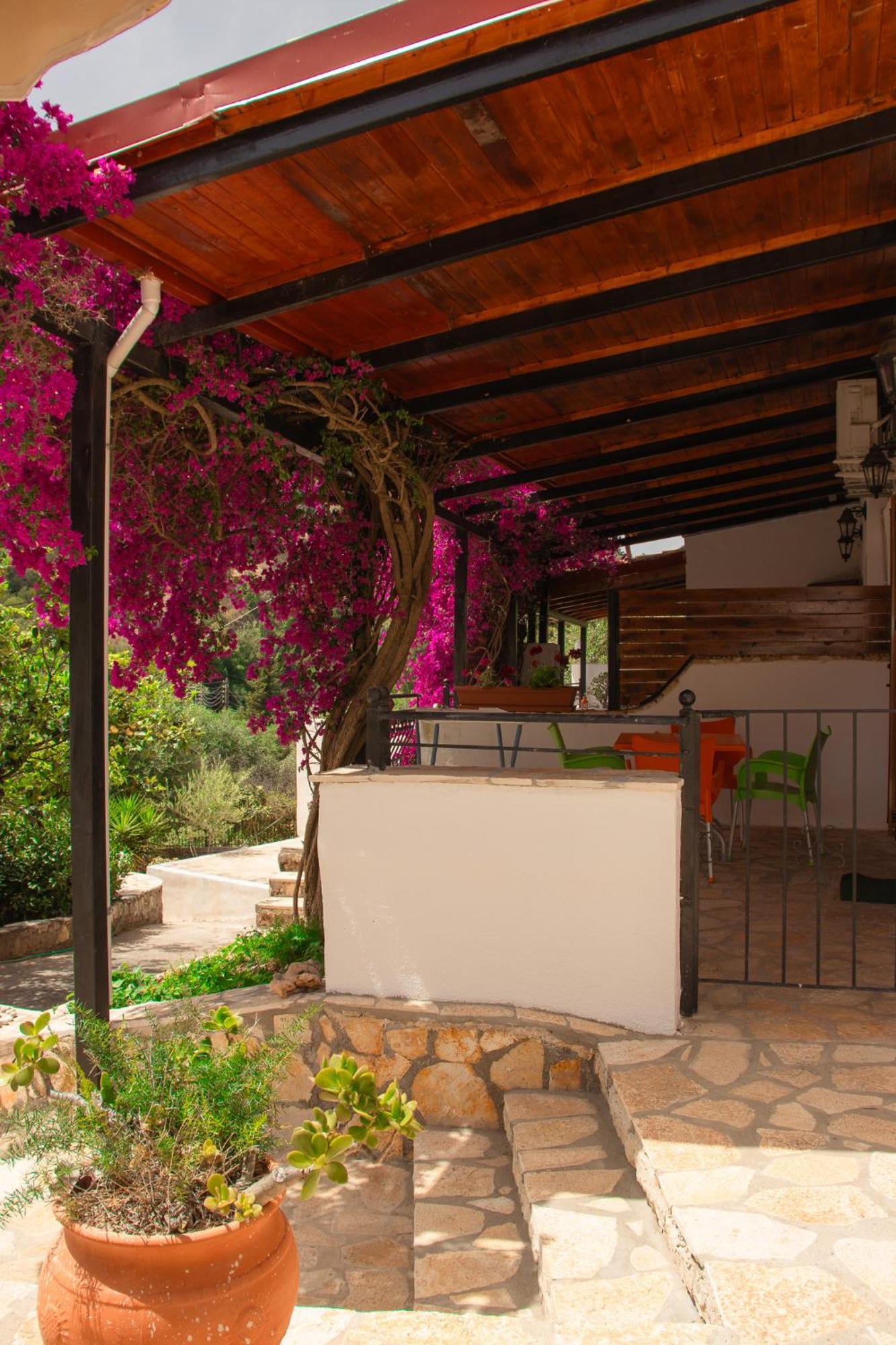 Villa Sissy Studios & Apartments Sívota المظهر الخارجي الصورة