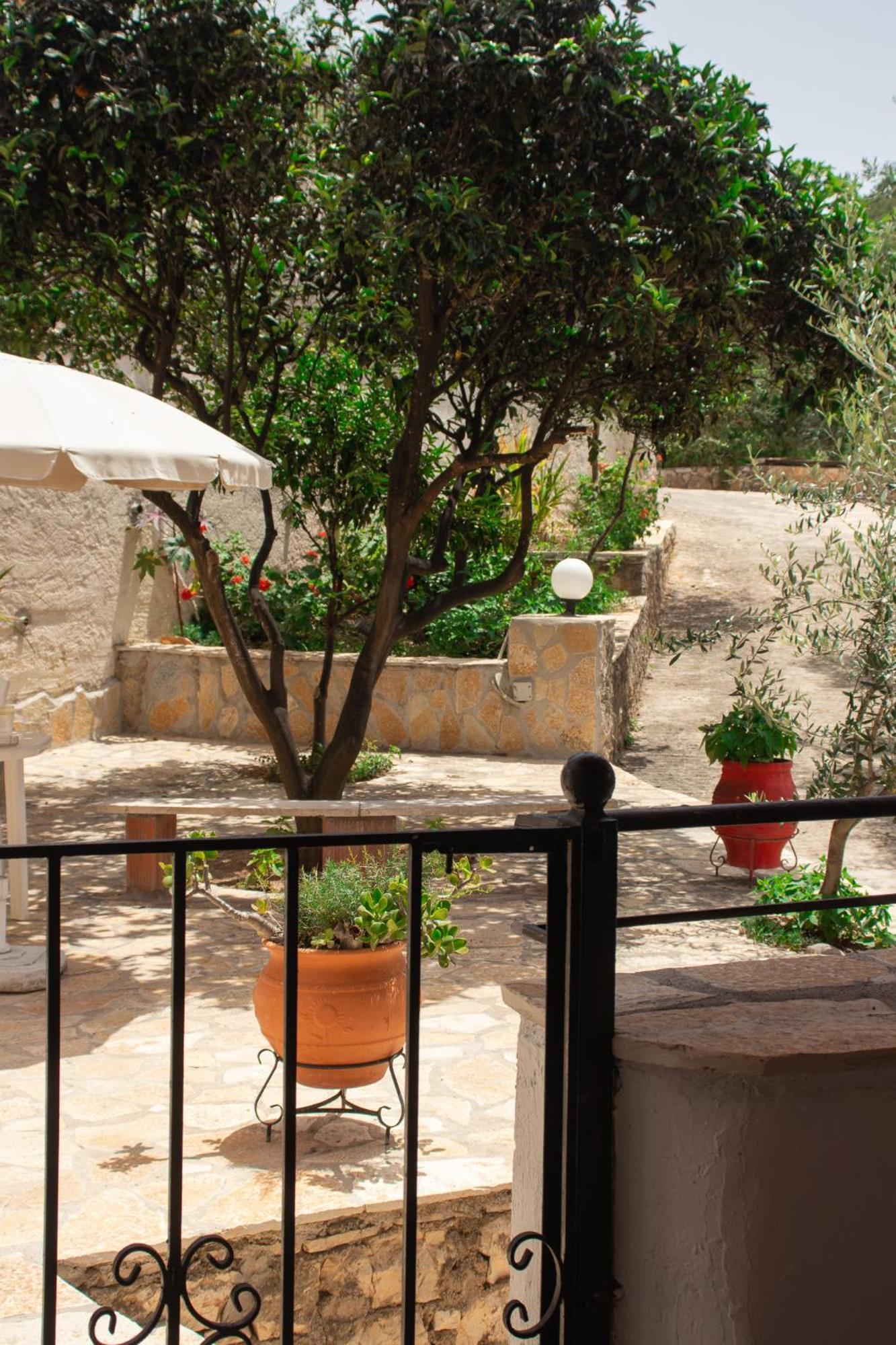 Villa Sissy Studios & Apartments Sívota المظهر الخارجي الصورة