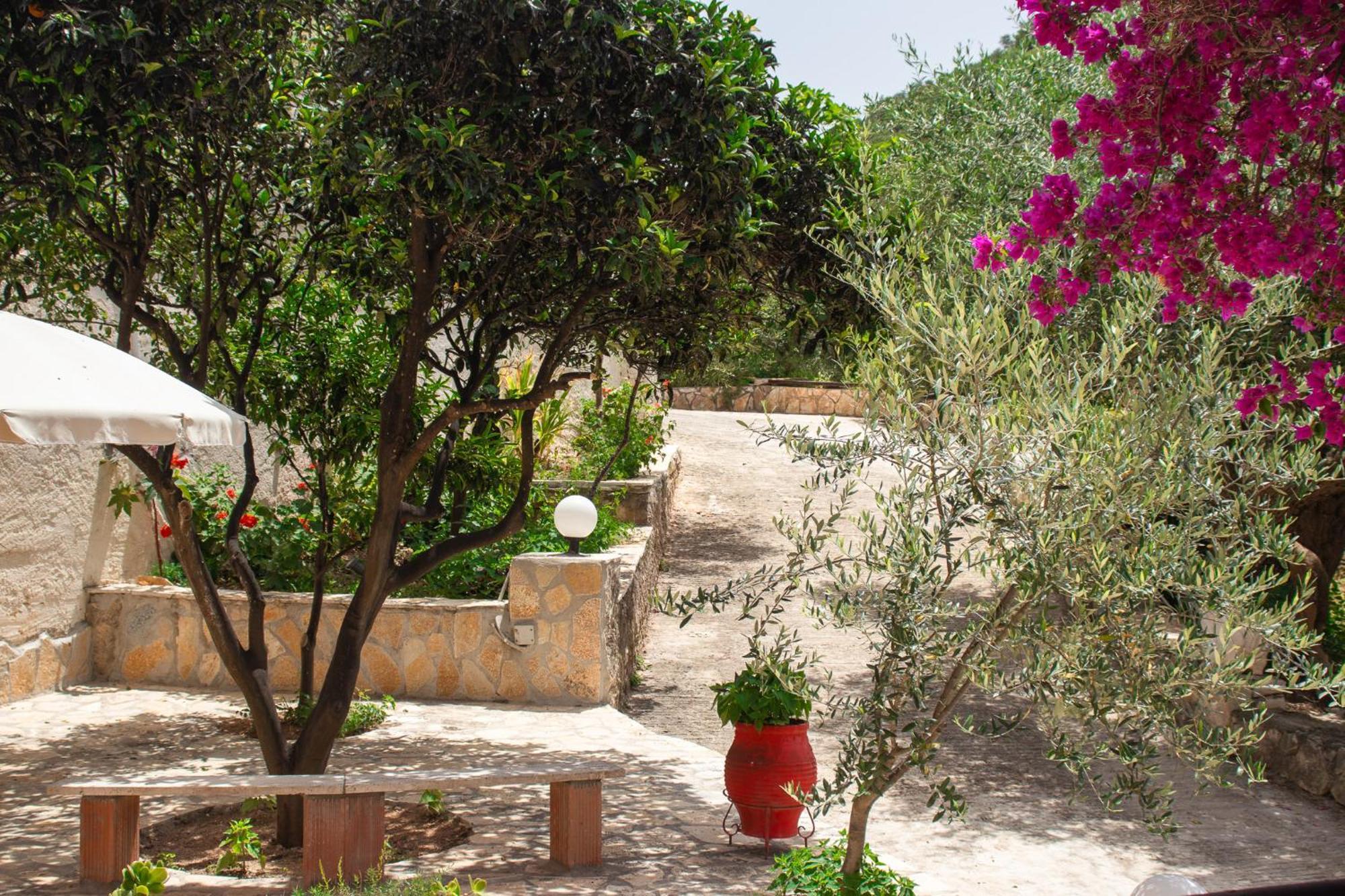 Villa Sissy Studios & Apartments Sívota المظهر الخارجي الصورة