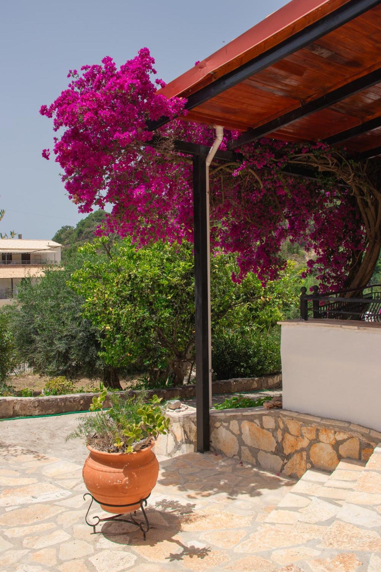 Villa Sissy Studios & Apartments Sívota المظهر الخارجي الصورة