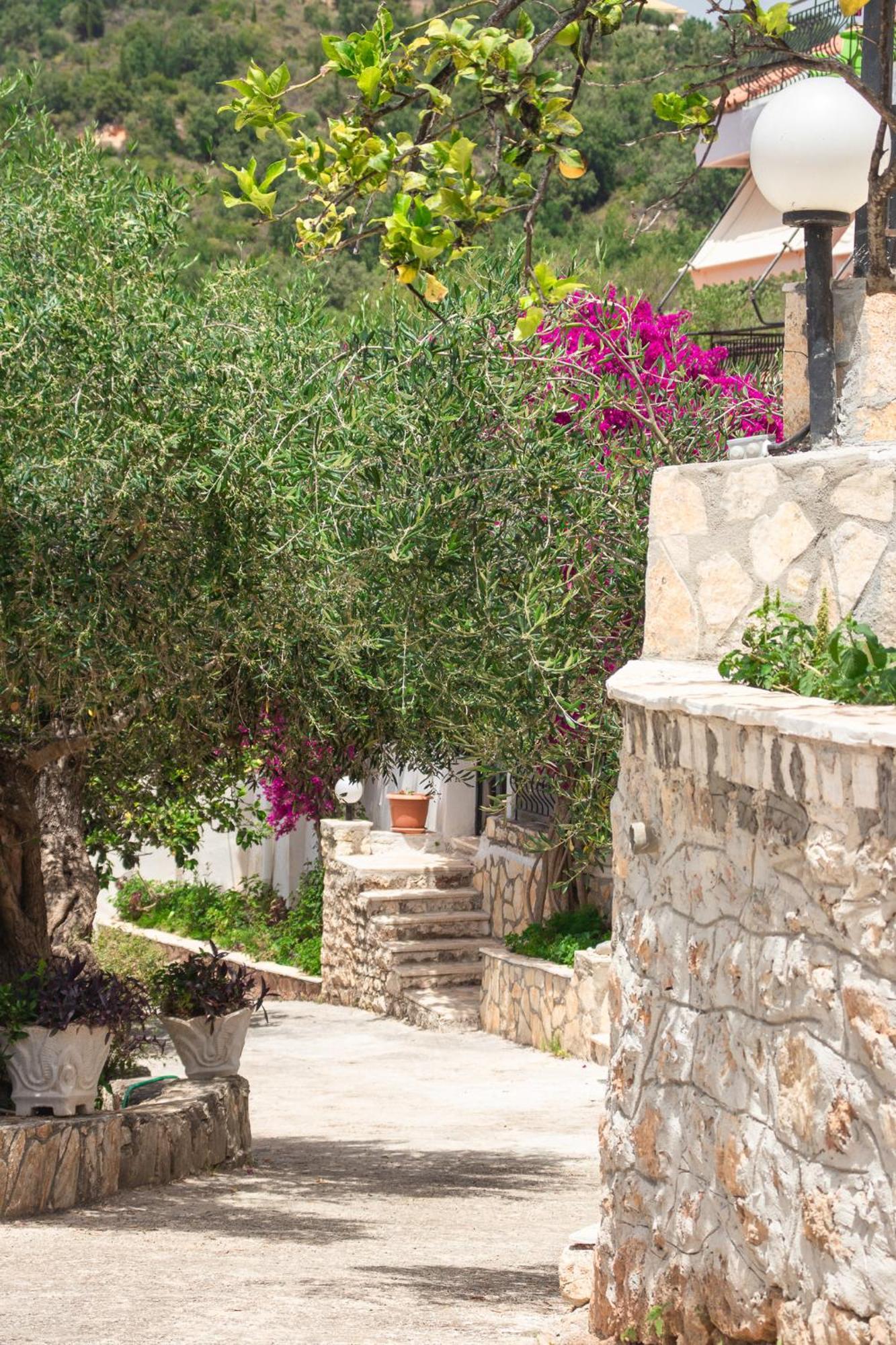 Villa Sissy Studios & Apartments Sívota المظهر الخارجي الصورة
